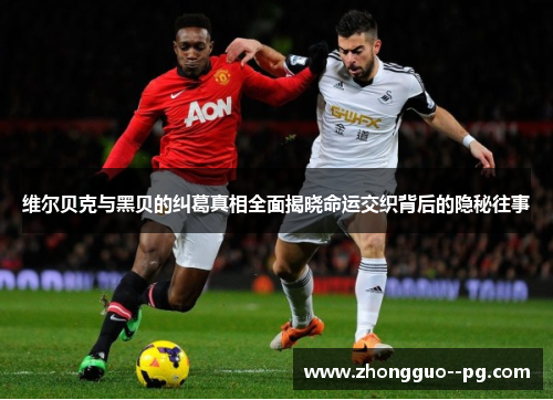 维尔贝克与黑贝的纠葛真相全面揭晓命运交织背后的隐秘往事