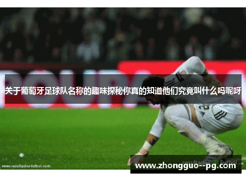 关于葡萄牙足球队名称的趣味探秘你真的知道他们究竟叫什么吗呢呀 关于葡萄牙足球队名称的趣味探秘你真的知道他们究竟叫什么吗呢呀